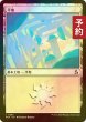 画像1: [FOIL] 平地/Plains No.282 【日本語版】 [FRA-土地C] (予約I) (1)