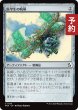 画像1: 医学生の帆凧/Medic's Kitesail 【日本語版】 [FRA-灰C] (予約H) (1)