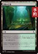 画像1: 畏怖の広場/Formidable Commons 【日本語版】 [FRA-土地C] (予約H) (1)