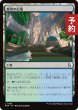 画像1: 変容の広場/Transformative Commons 【日本語版】 [FRA-土地C] (予約H) (1)