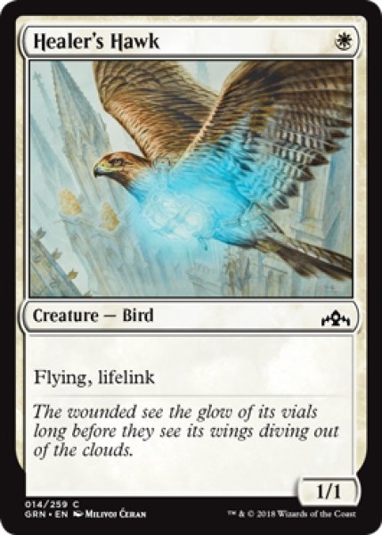 画像1: 癒し手の鷹/Healer's Hawk 【英語版】 [GRN-白C] (1)