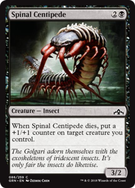 画像1: 背骨ムカデ/Spinal Centipede 【英語版】 [GRN-黒C] (1)