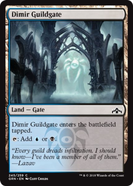 画像1: ディミーアのギルド門/Dimir Guildgate No.245 【英語版】 [GRN-土地C] (1)
