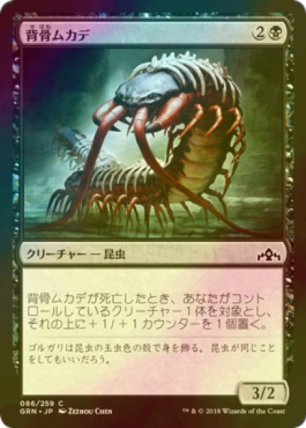 画像1: [FOIL] 背骨ムカデ/Spinal Centipede 【日本語版】 [GRN-黒C] (1)