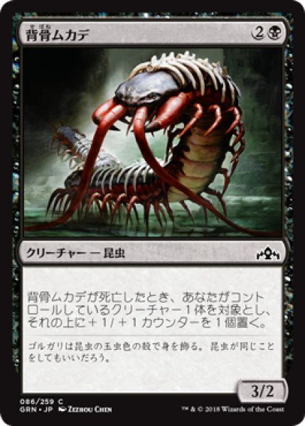 画像1: 背骨ムカデ/Spinal Centipede 【日本語版】 [GRN-黒C] (1)