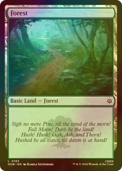 画像1: [FOIL] 森/Forest 【英語版】 [HOB-土地C] (1)