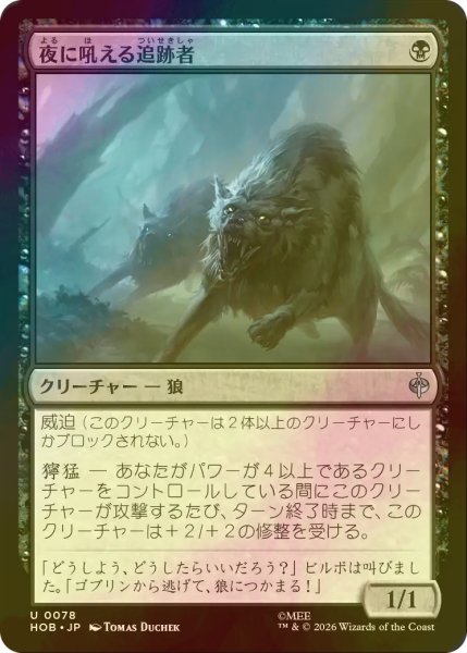 画像1: [FOIL] 夜に吼える追跡者/Nighthowl Pursuer 【日本語版】 [HOB-黒U] (1)