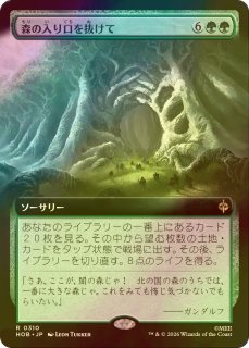 FOIL] 熊人間/Werebear 【日本語版】 [EMA-緑C] - シングルスター