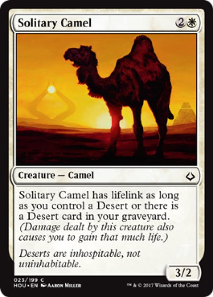 画像1: 孤高のラクダ/Solitary Camel 【英語版】 [HOU-白C] (1)
