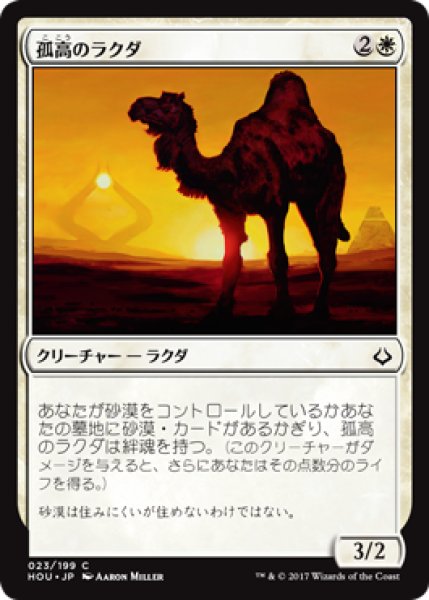 画像1: 孤高のラクダ/Solitary Camel 【日本語版】 [HOU-白C] (1)