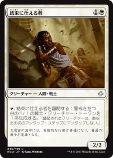 ドル・アムロス/Dol Amroth 【日本語版】 [LTC-土地MR] - シングルスター