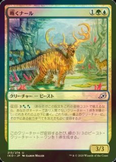 FOIL] アガディームの覚醒/Agadeem's Awakening 【日本語版】 [ZNR-黒MR] - シングルスター