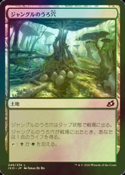 画像1: [FOIL] ジャングルのうろ穴/Jungle Hollow 【日本語版】 [IKO-土地C] (1)