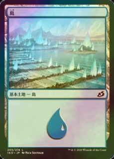 FOIL] ヤヴィマヤの沿岸/Yavimaya Coast 【日本語版】 [DMU-土地R] - シングルスター