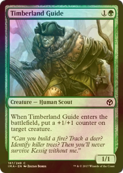 画像1: [FOIL] 森林地の先達/Timberland Guide 【英語版】 [IMA-緑C] (1)