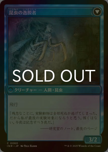 FOIL] 秘密を掘り下げる者/Delver of Secrets 【日本語版】 [INR-青C