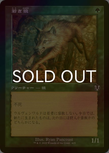 画像1: [FOIL] 若き狼/Young Wolf (旧枠) 【日本語版】 [INR-緑C] (1)