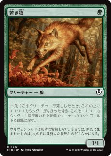 【TDM】モックス・ジャスパー　ショーケースfoil ミントモール / MINT GAMES MTG(東日本橋) / 【TDM】【JPN