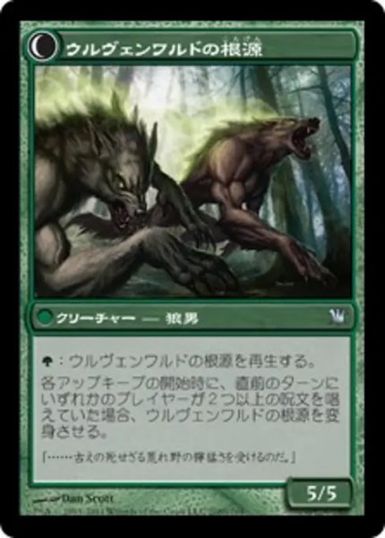 画像2: ウルヴェンワルドの神秘家/Ulvenwald Mystics 【日本語版】 [ISD-緑U] (2)