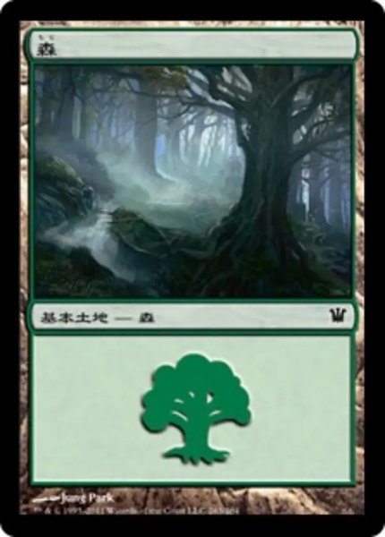 画像1: 森/Forest No.263 【日本語版】 [ISD-土地C] (1)