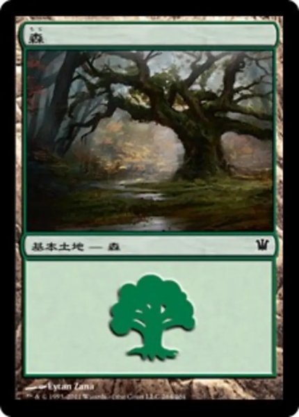 画像1: 森/Forest No.264 【日本語版】 [ISD-土地C] (1)