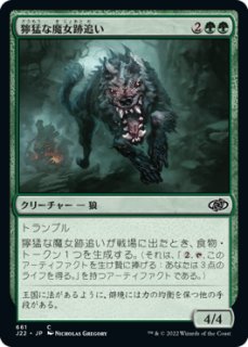 MTG 補充　4枚セット Amazon.co.jp: mtg ゼンディカーの夜明け 特製 サイドローダー