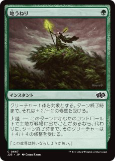 野生の魂、アシャヤ/Ashaya, Soul of the Wild 【日本語版】 [DSC-緑MR