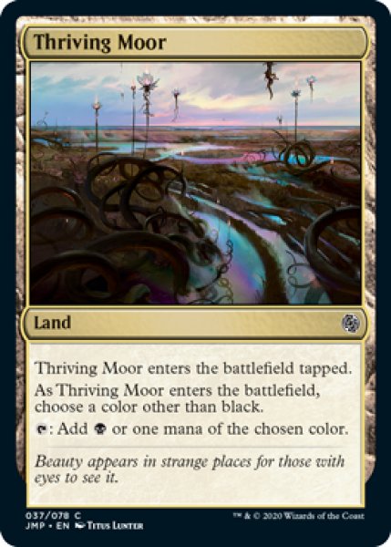 画像1: 興隆する湿地帯/Thriving Moor 【英語版】 [JMP-土地C] (1)