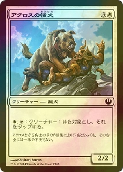 画像1: [FOIL] アクロスの猛犬/Akroan Mastiff 【日本語版】 [JOU-白C] (1)