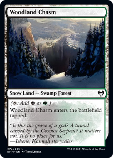 画像1: 森林の地割れ/Woodland Chasm 【英語版】 [KHM-土地C] (1)