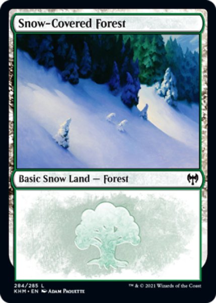 画像1: 冠雪の森/Snow-Covered Forest No.284 【英語版】 [KHM-土地C] (1)