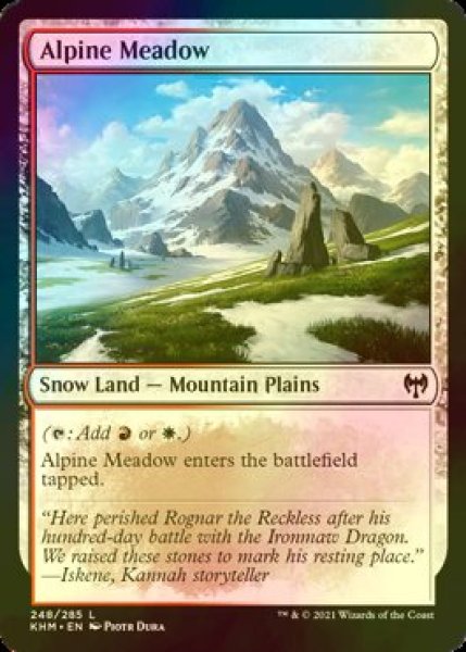 画像1: [FOIL] 高山の草地/Alpine Meadow 【英語版】 [KHM-土地C] (1)