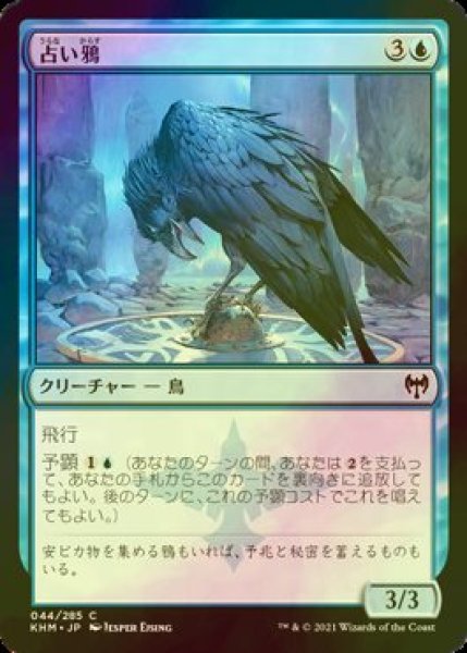 画像1: [FOIL] 占い鴉/Augury Raven 【日本語版】 [KHM-青C] (1)