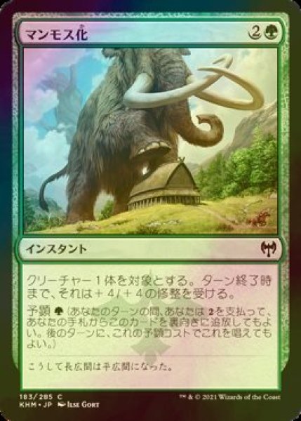 画像1: [FOIL] マンモス化/Mammoth Growth 【日本語版】 [KHM-緑C] (1)