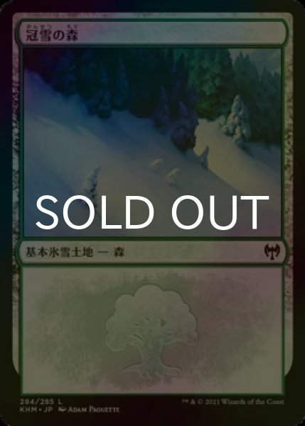画像1: [FOIL] 冠雪の森/Snow-Covered Forest No.284 【日本語版】 [KHM-土地C] (1)