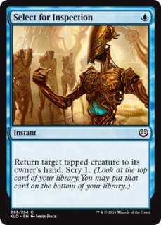 MTG 森の知恵 Foil DMR 全面アート 英語 ③ 森の知恵⁄Sylvan Library (