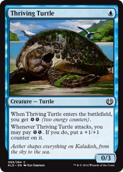 画像1: 亢進する亀/Thriving Turtle 【英語版】 [KLD-青C] (1)