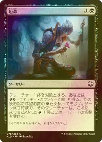 画像1: [FOIL] 短命/Die Young 【日本語版】 [KLD-黒C] (1)