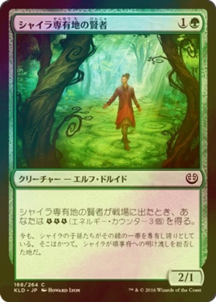 画像1: [FOIL] シャイラ専有地の賢者/Sage of Shaila's Claim 【日本語版】 [KLD-緑C] (1)