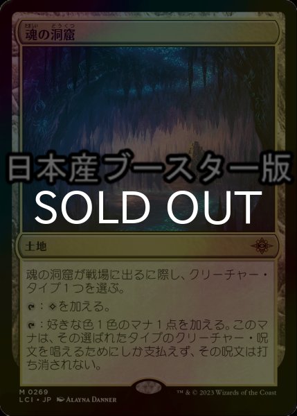 画像1: [FOIL] 魂の洞窟/Cavern of Souls ● (日本産ブースター版)  【日本語版】 [LCI-土地MR] (1)