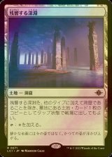 MTG 日本語 虚空の力線 旧枠 foil