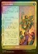 画像2: [FOIL] 統一の詩人、ファートリ/Huatli, Poet of Unity ● (ショーケース・日本産ブースター版) 【日本語版】 [LCI-緑MR] (2)