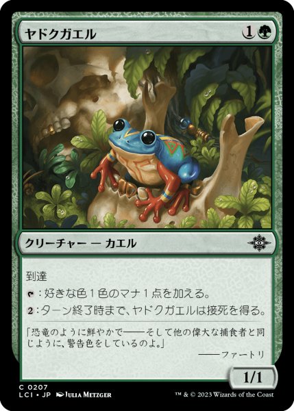 画像1: ヤドクガエル/Poison Dart Frog 【日本語版】 [LCI-緑C] (1)