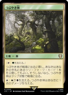 ラノワールの荒原 英語 サインド FOIL アポカリプス MTG MTG