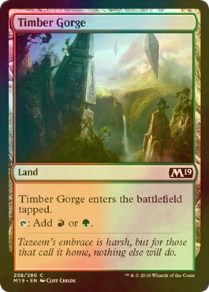 画像1: [FOIL] 森林の地溝/Timber Gorge 【英語版】 [M19-土地C] (1)