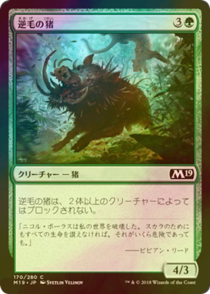 画像1: [FOIL] 逆毛の猪/Bristling Boar 【日本語版】 [M19-緑C] (1)