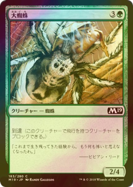 画像1: [FOIL] 大蜘蛛/Giant Spider 【日本語版】 [M19-緑C] (1)