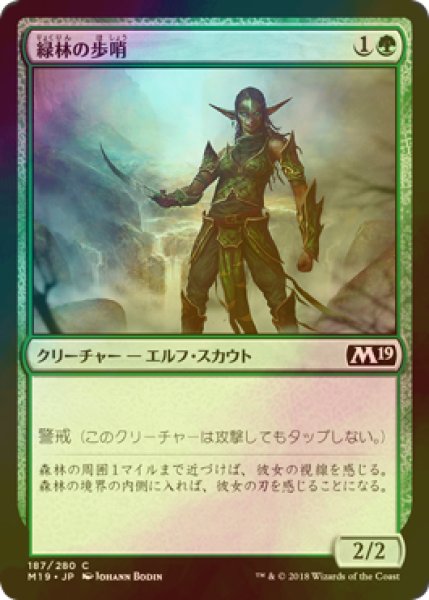 画像1: [FOIL] 緑林の歩哨/Greenwood Sentinel 【日本語版】 [M19-緑C] (1)