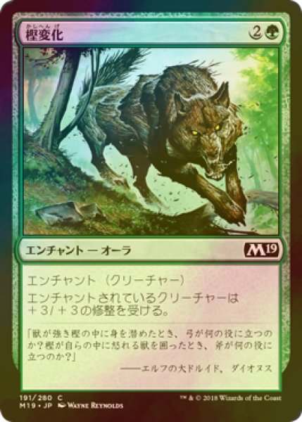 画像1: [FOIL] 樫変化/Oakenform 【日本語版】 [M19-緑C] (1)