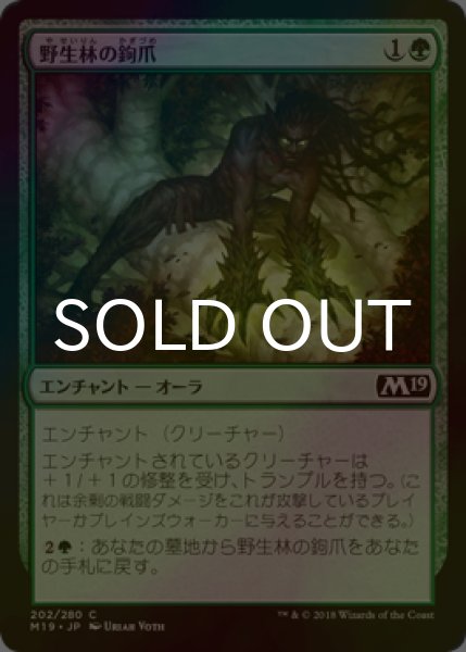 画像1: [FOIL] 野生林の鉤爪/Talons of Wildwood 【日本語版】 [M19-緑C] (1)